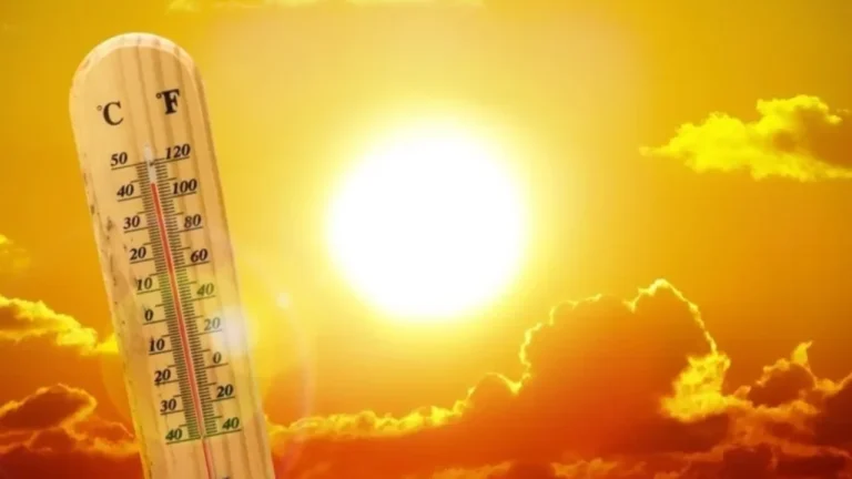 Domul de căldură lovește Europa: temperaturi neobișnuit de ridicate și recorduri doborâte