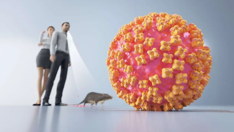 Hantavirusul: Ce trebuie să știe românii despre riscuri, simptome și prevenție